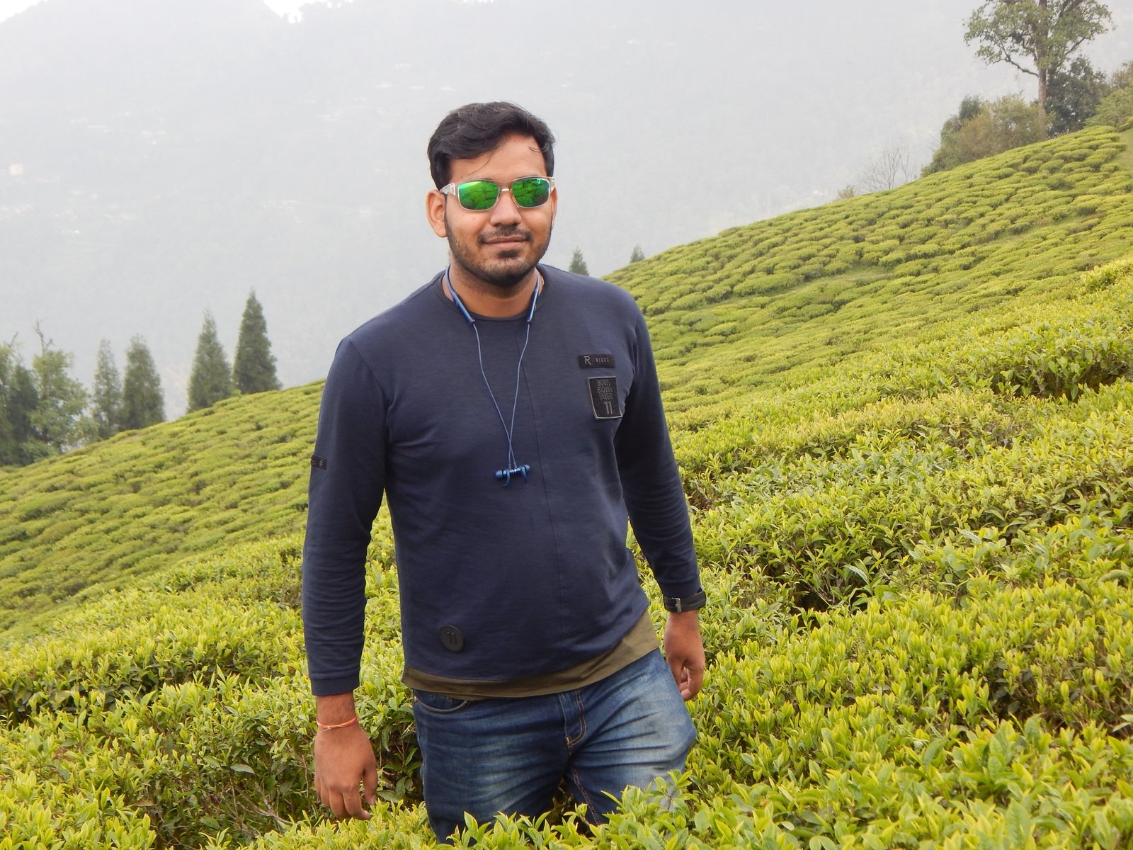 TEMI TEA GARDEN