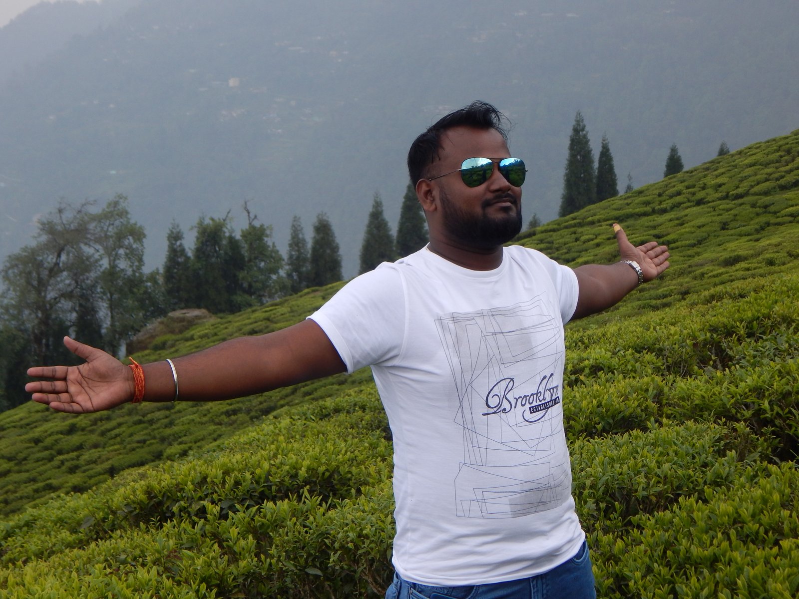 TEMI TEA GARDEN